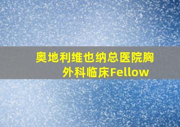 奥地利维也纳总医院胸外科临床Fellow