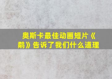 奥斯卡最佳动画短片《鹬》告诉了我们什么道理