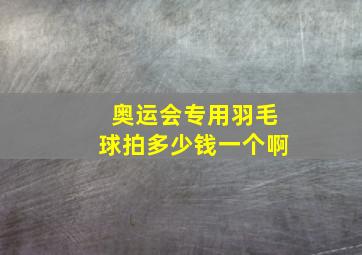 奥运会专用羽毛球拍多少钱一个啊