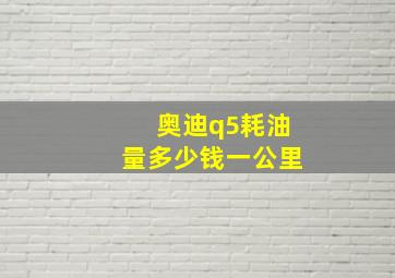 奥迪q5耗油量多少钱一公里