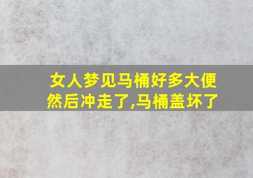 女人梦见马桶好多大便然后冲走了,马桶盖坏了