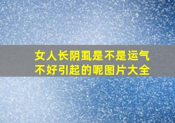 女人长阴虱是不是运气不好引起的呢图片大全