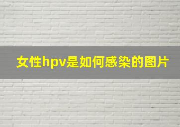 女性hpv是如何感染的图片