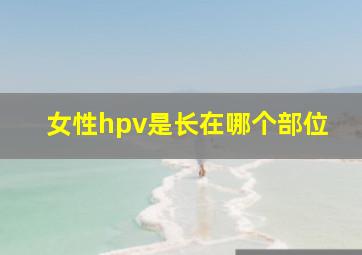 女性hpv是长在哪个部位