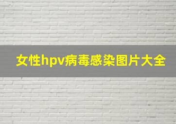 女性hpv病毒感染图片大全