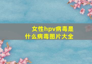 女性hpv病毒是什么病毒图片大全