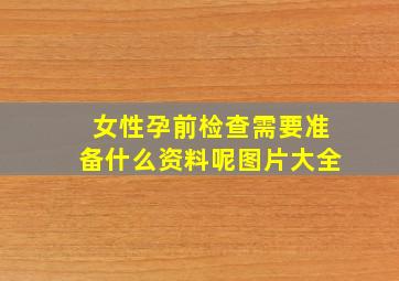 女性孕前检查需要准备什么资料呢图片大全