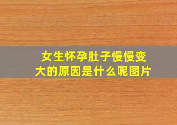 女生怀孕肚子慢慢变大的原因是什么呢图片