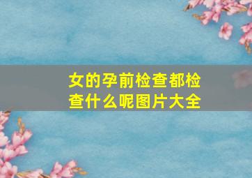 女的孕前检查都检查什么呢图片大全