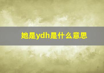 她是ydh是什么意思