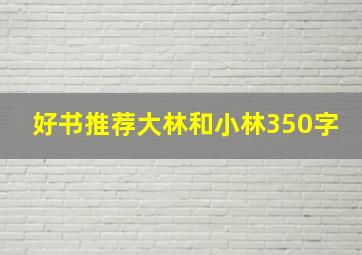 好书推荐大林和小林350字