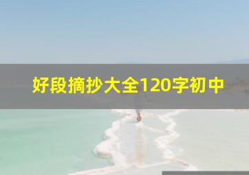 好段摘抄大全120字初中