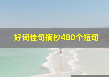 好词佳句摘抄480个短句