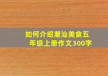 如何介绍潮汕美食五年级上册作文300字