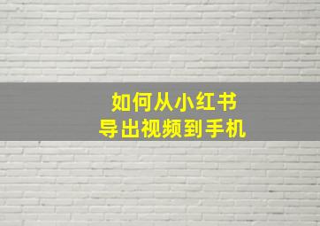 如何从小红书导出视频到手机