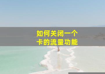 如何关闭一个卡的流量功能