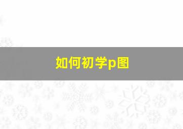 如何初学p图