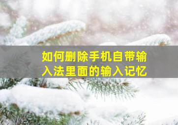 如何删除手机自带输入法里面的输入记忆