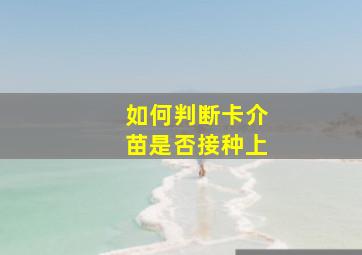 如何判断卡介苗是否接种上