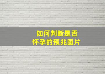 如何判断是否怀孕的预兆图片