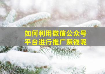 如何利用微信公众号平台进行推广赚钱呢