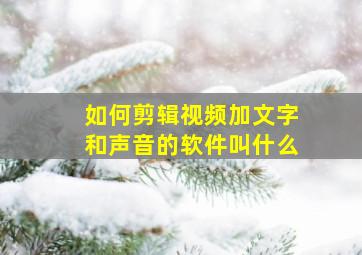 如何剪辑视频加文字和声音的软件叫什么