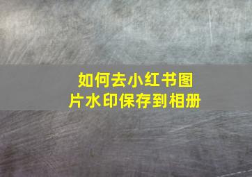 如何去小红书图片水印保存到相册