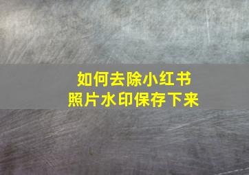 如何去除小红书照片水印保存下来