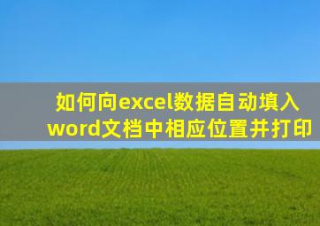 如何向excel数据自动填入word文档中相应位置并打印