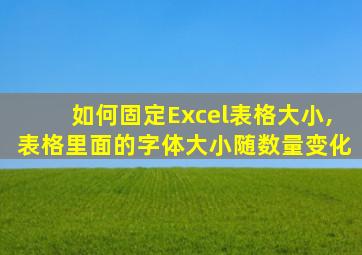 如何固定Excel表格大小,表格里面的字体大小随数量变化