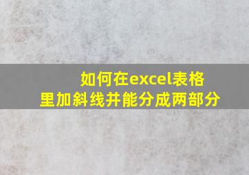 如何在excel表格里加斜线并能分成两部分