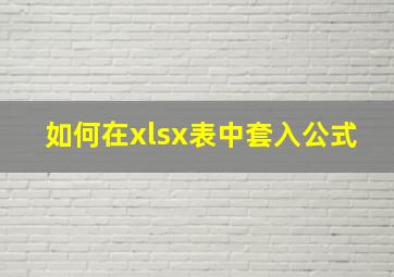 如何在xlsx表中套入公式