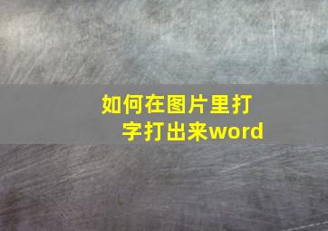 如何在图片里打字打出来word