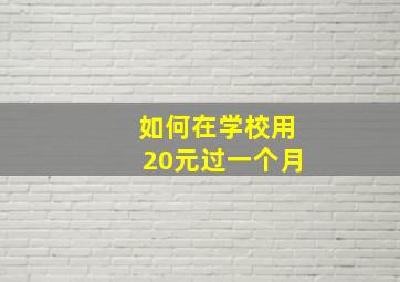 如何在学校用20元过一个月