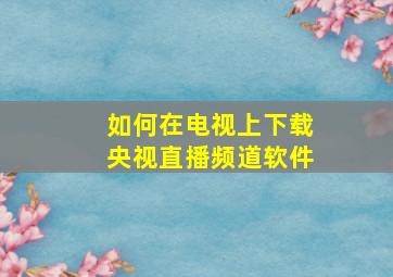 如何在电视上下载央视直播频道软件