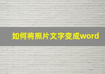 如何将照片文字变成word