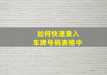 如何快速录入车牌号码表格中