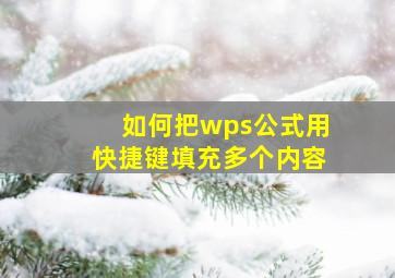 如何把wps公式用快捷键填充多个内容