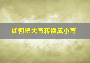 如何把大写转换成小写