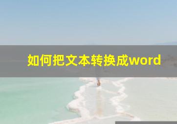 如何把文本转换成word