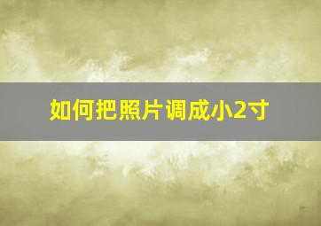 如何把照片调成小2寸