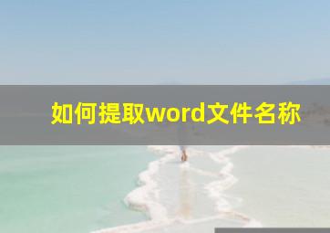 如何提取word文件名称