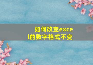 如何改变excel的数字格式不变