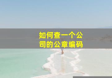 如何查一个公司的公章编码