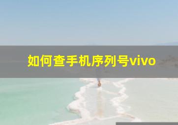 如何查手机序列号vivo