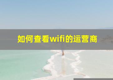 如何查看wifi的运营商