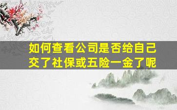 如何查看公司是否给自己交了社保或五险一金了呢