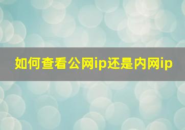 如何查看公网ip还是内网ip