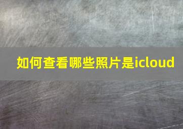 如何查看哪些照片是icloud