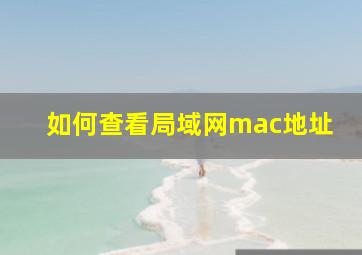 如何查看局域网mac地址